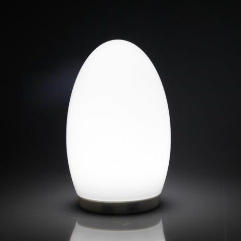 Wireless Battery Powered Egg Shape 